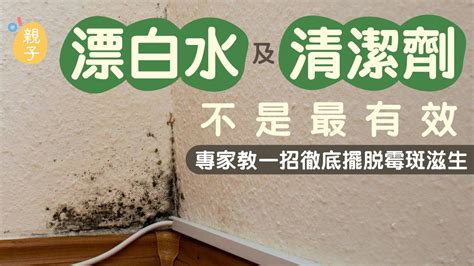 牆壁潮濕發霉|牆壁潮濕反覆發霉怎麼辦？內行用1便宜好物「不用刷根除陳年霉。